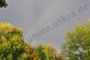 Regenbogen